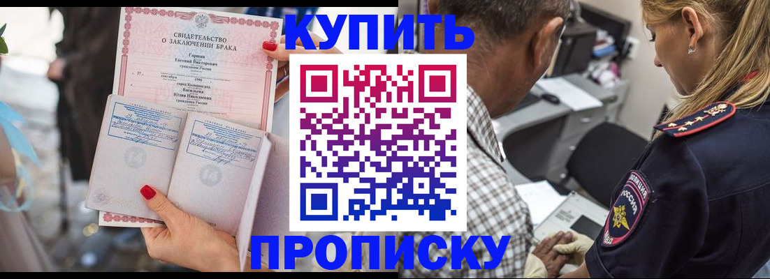 прописка законно в Шатуре